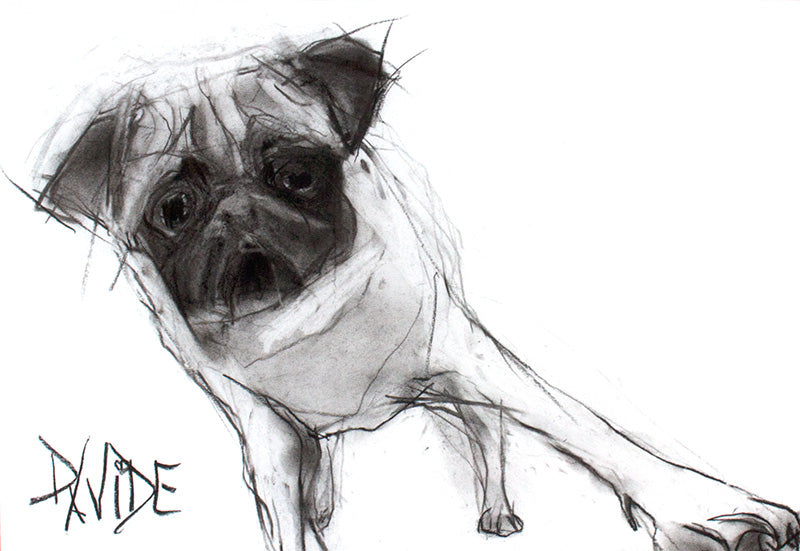 Valerie Davide "Onslow" Greeting Card