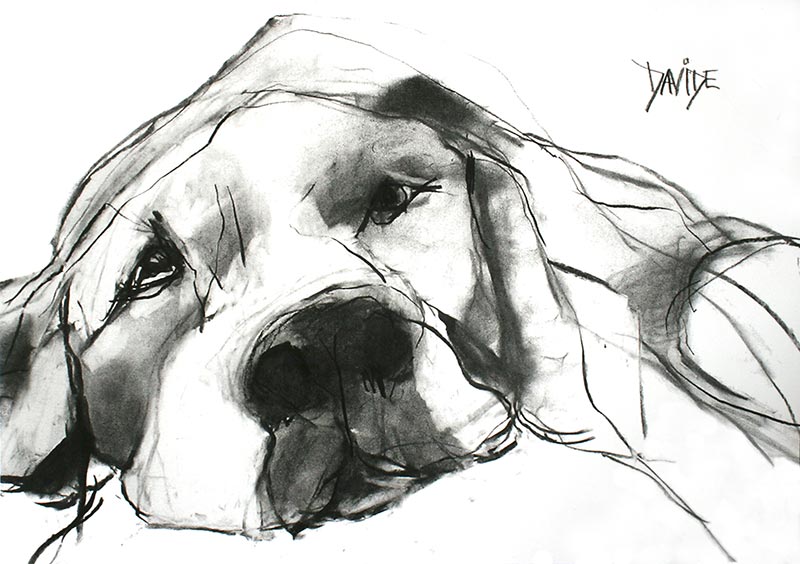 Valerie Davide "Alfie" Greeting Card