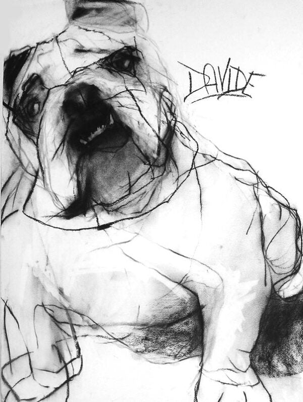 Valerie Davide "Bewildered Bentley" Greeting Card