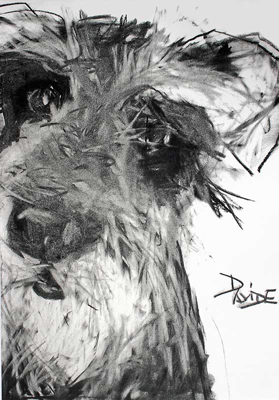 Valerie Davide "Rafferty" Greeting Card