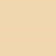 Stone Pale Warm (34)
