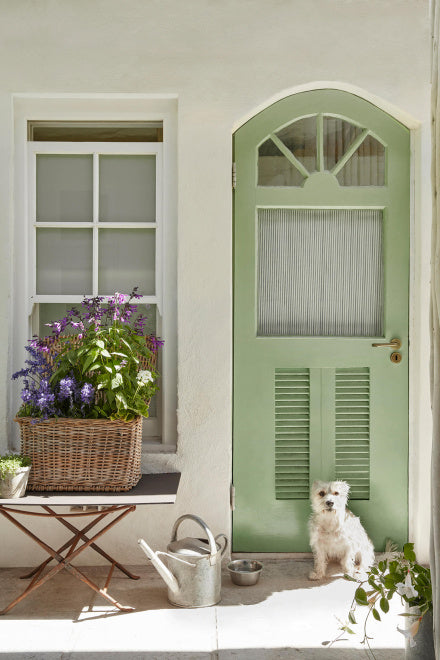 Pea Green (91)
