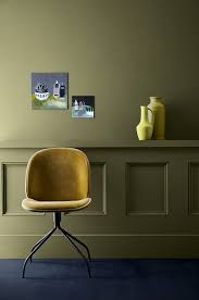 Olive Colour (72)