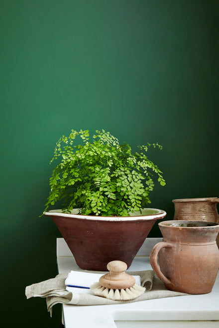 Dark Brunswick Green (88)