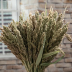 Rustic Millet Bundle