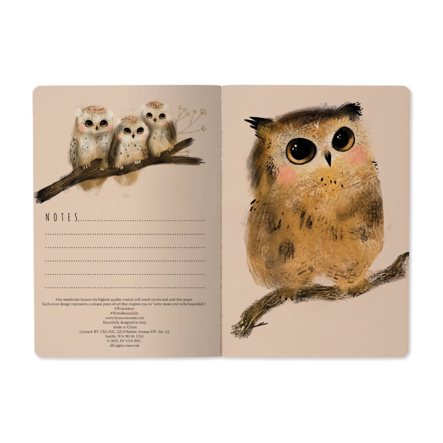 A5 Notebook - Baby Owls
