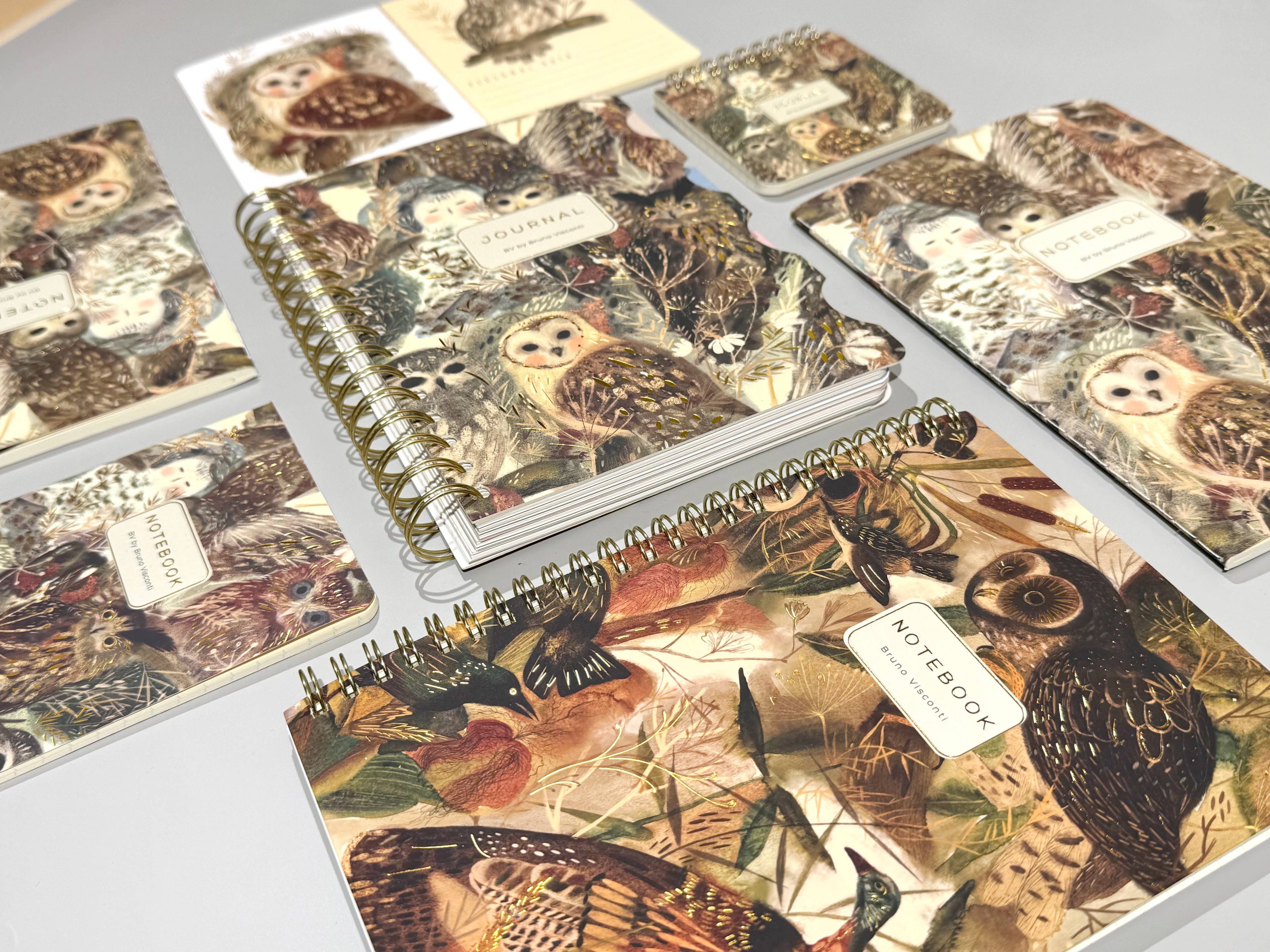Owls Notebook