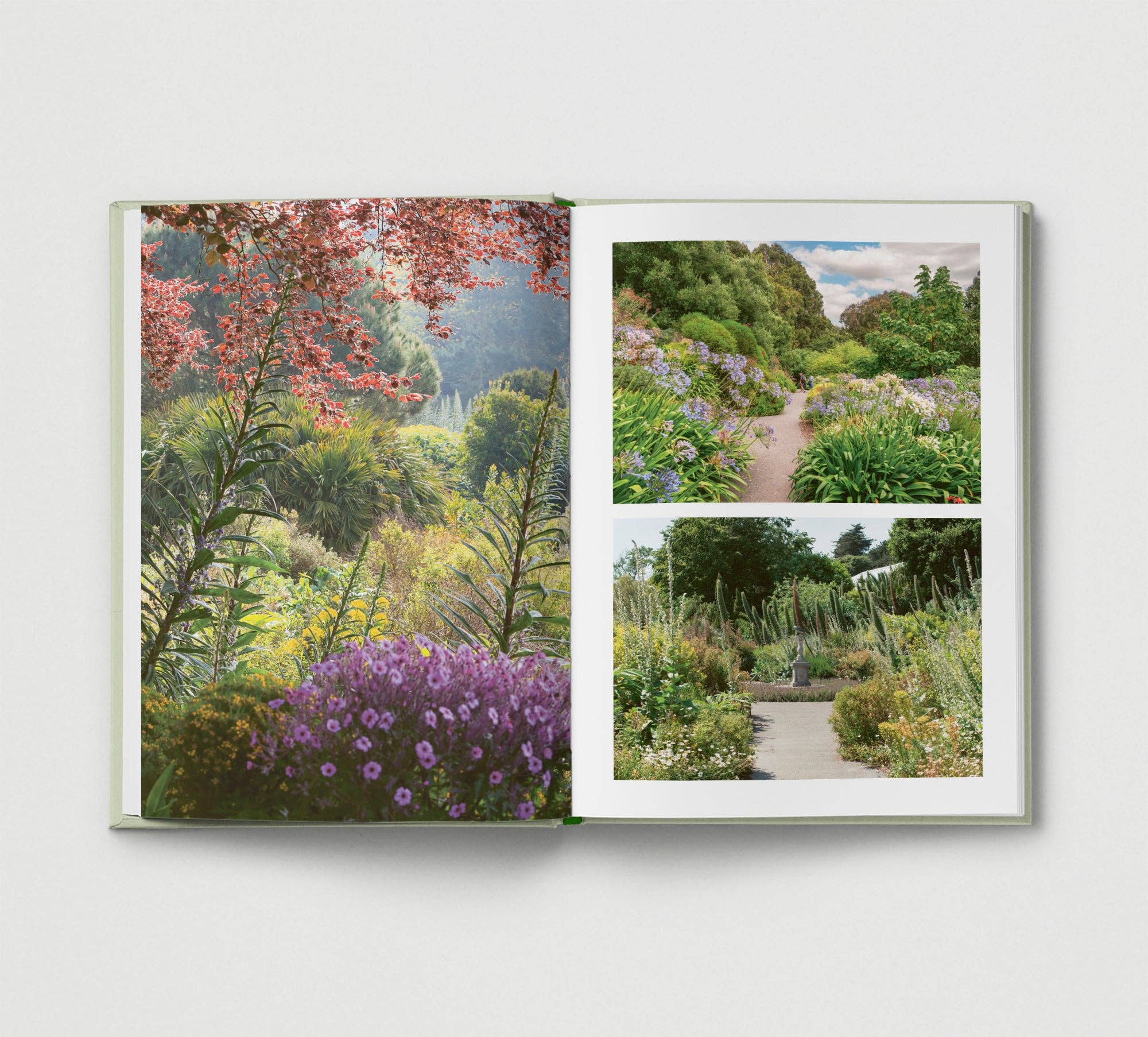 Britain's Best Gardens