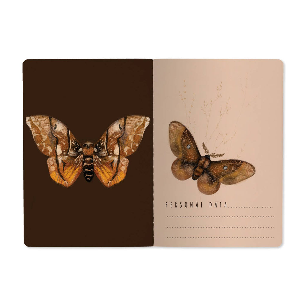 A5 Notebook - Butterflies on Blush 