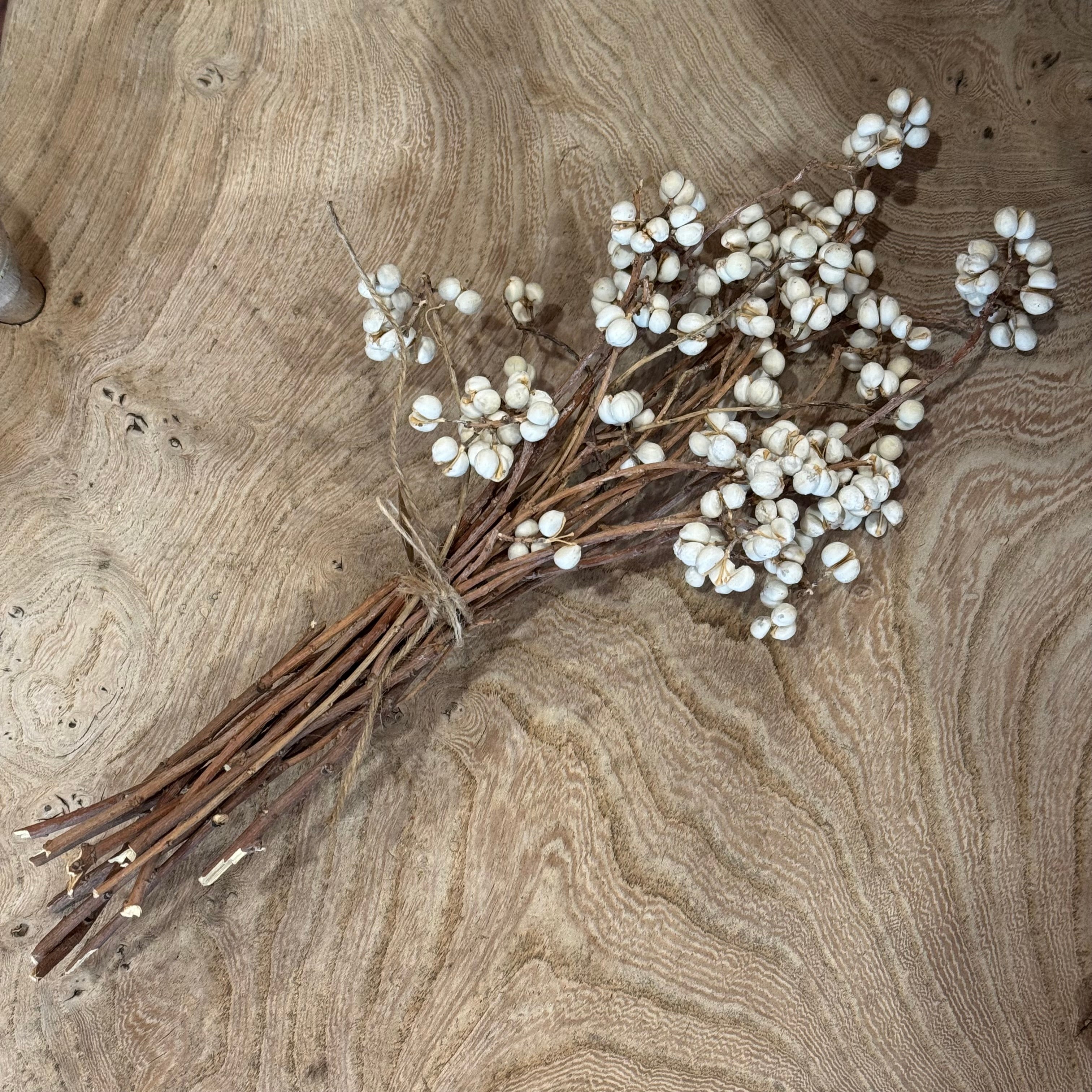 Tallow Berry Bunch