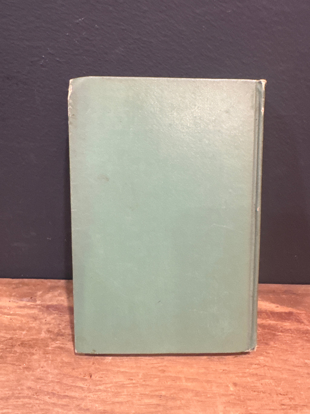 “The Pilgrim’s Progress” Book