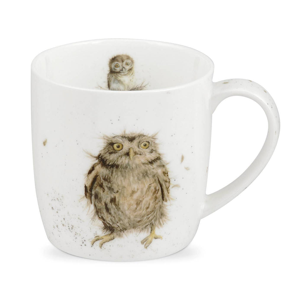 Royal Worcester Wrendale Designs Owl China Mug