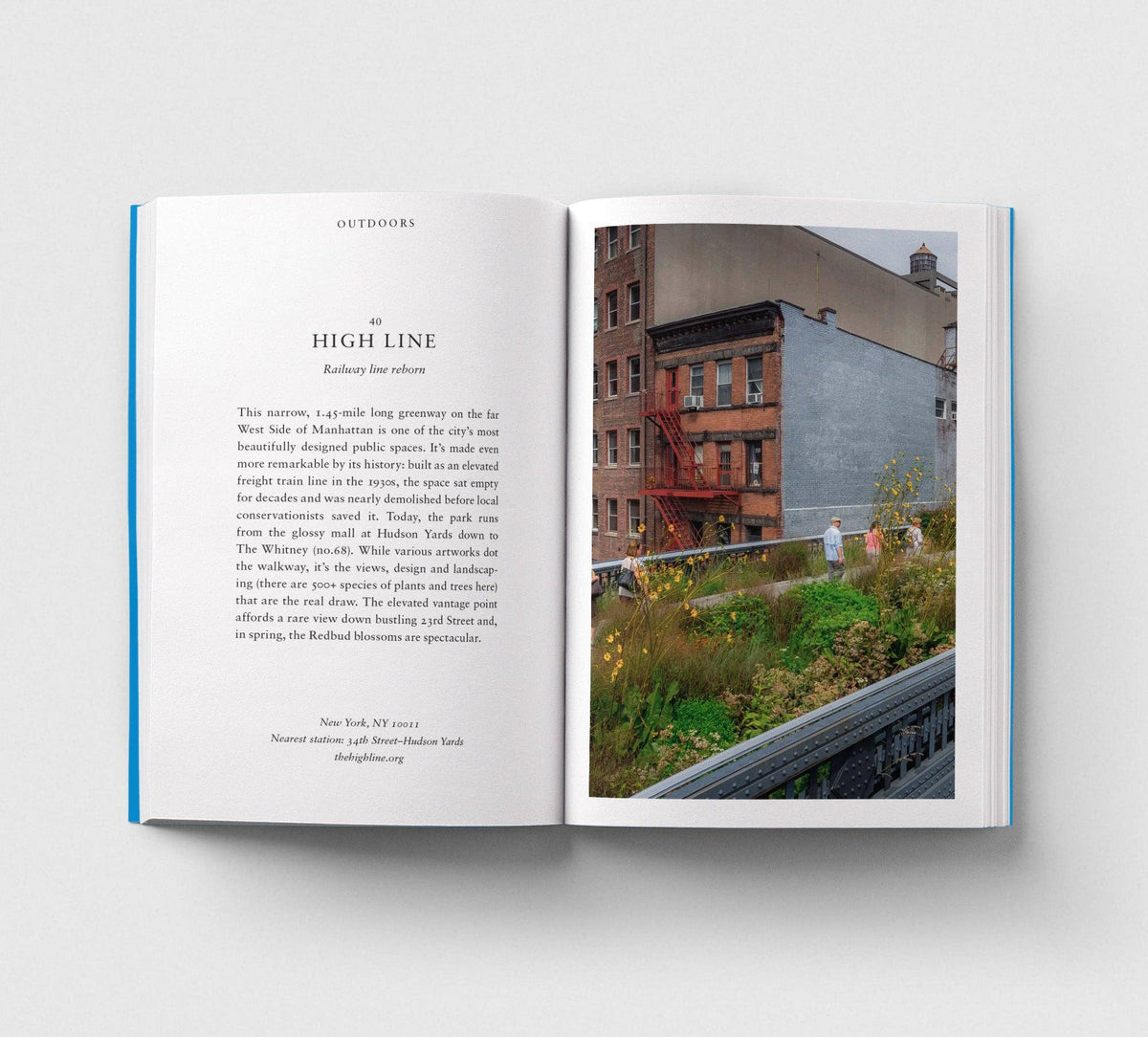 An Opinionated Guide to New York