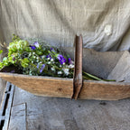 French Trug
