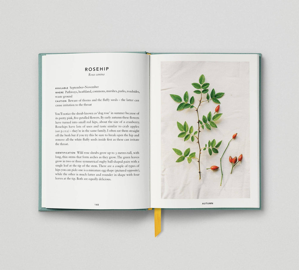The Urban Forager
