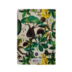 Baobab Tree Notebook