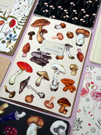 Mushrooms on White Notebook