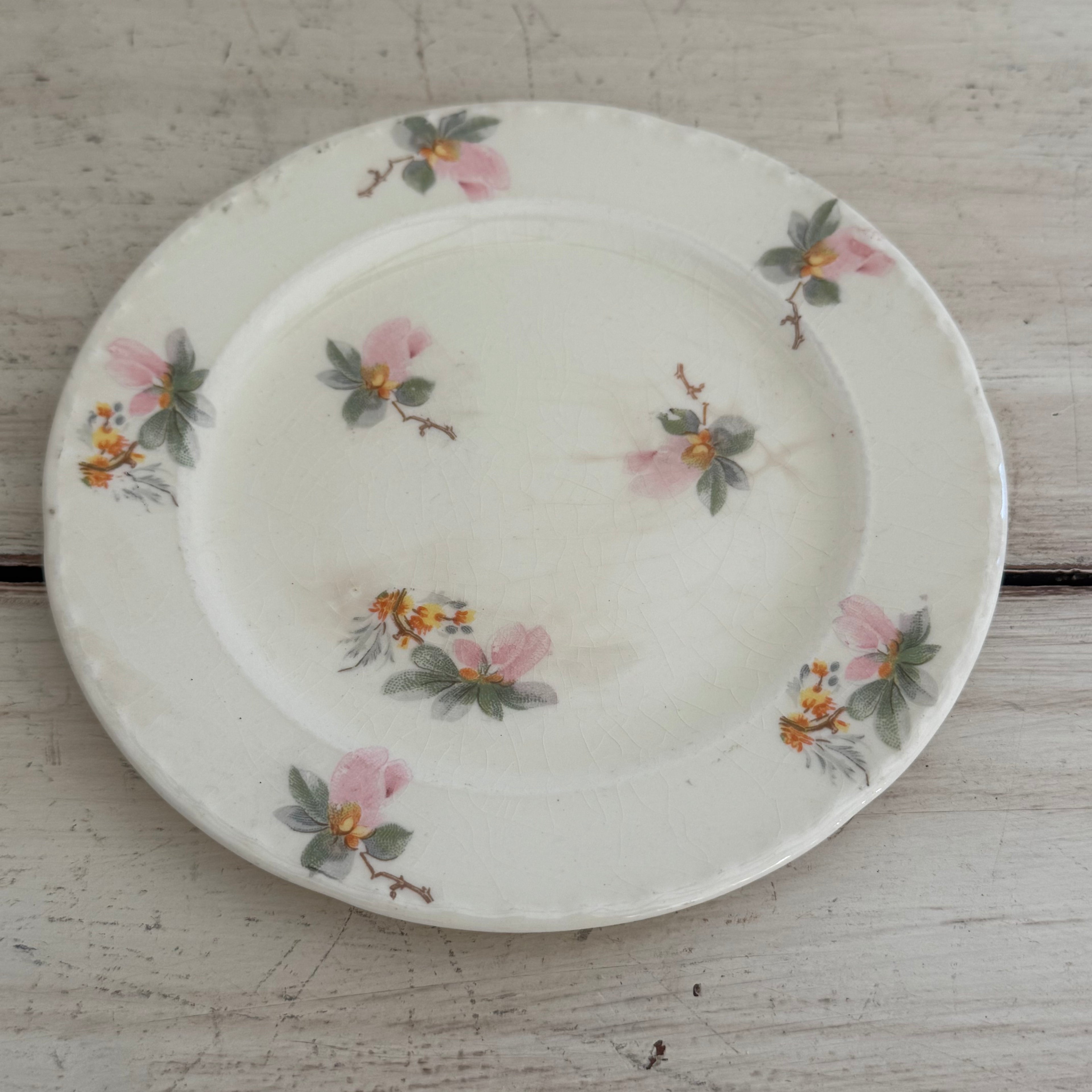 Wild Rose Dessert Plate (set of 4)