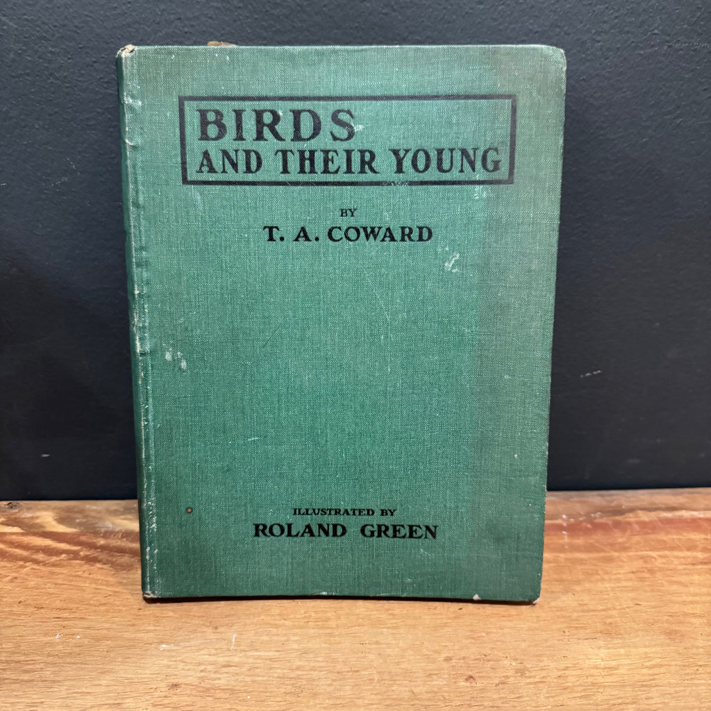 Birds and Their Young Book