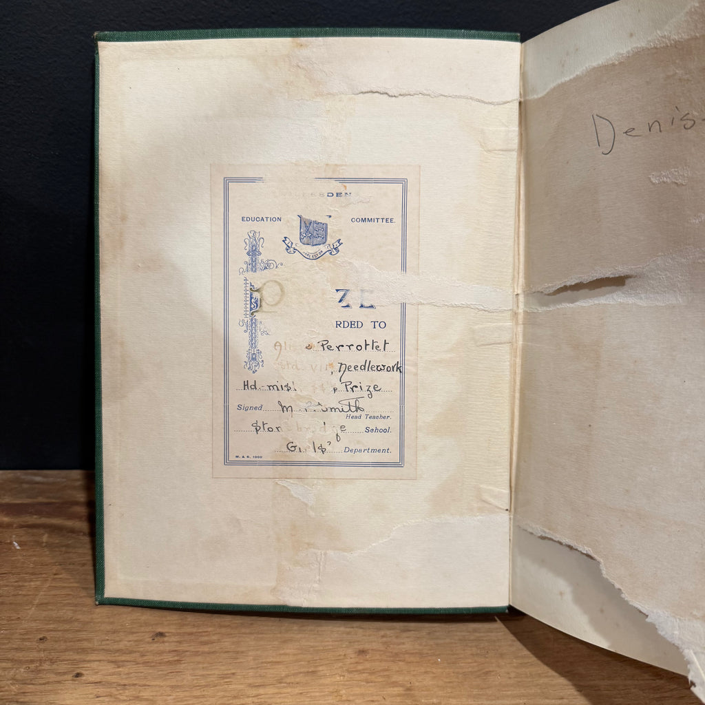 Birds and Their Young Book