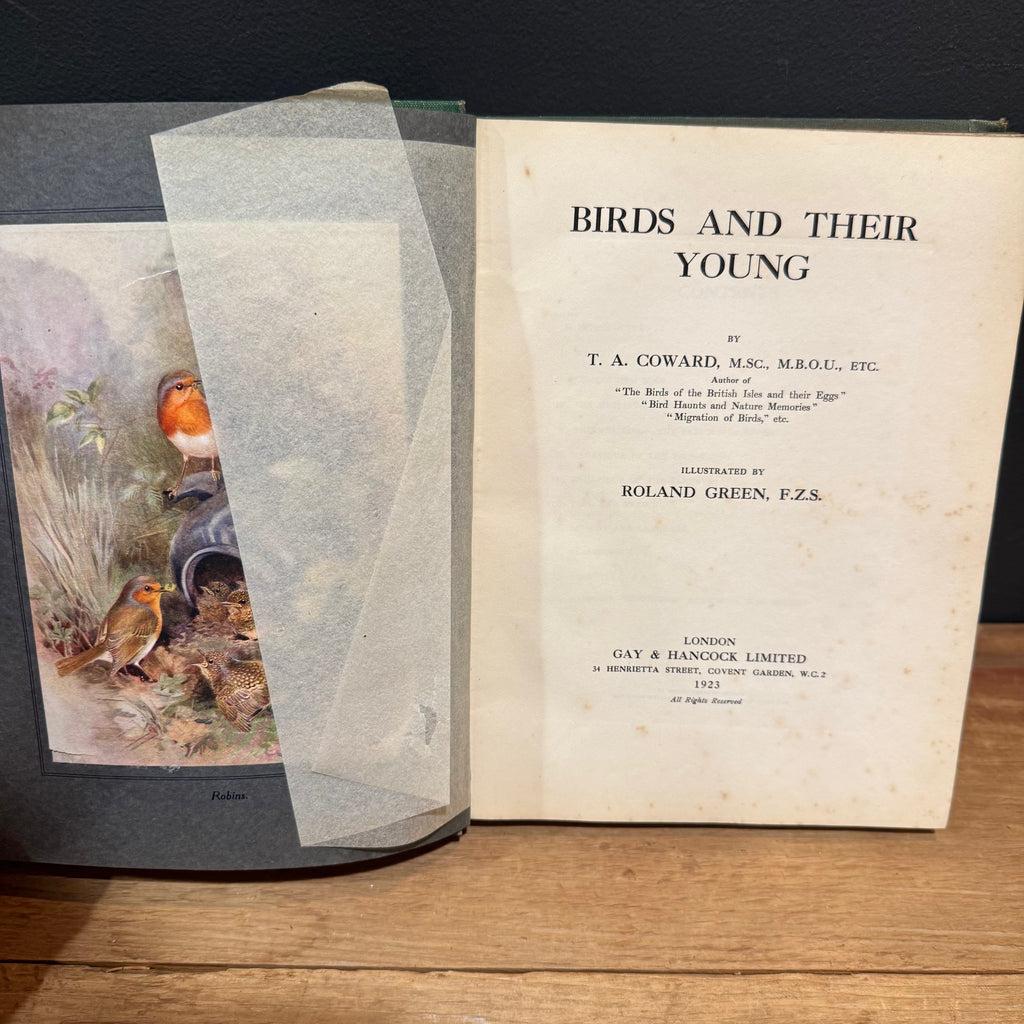 Birds and Their Young Book