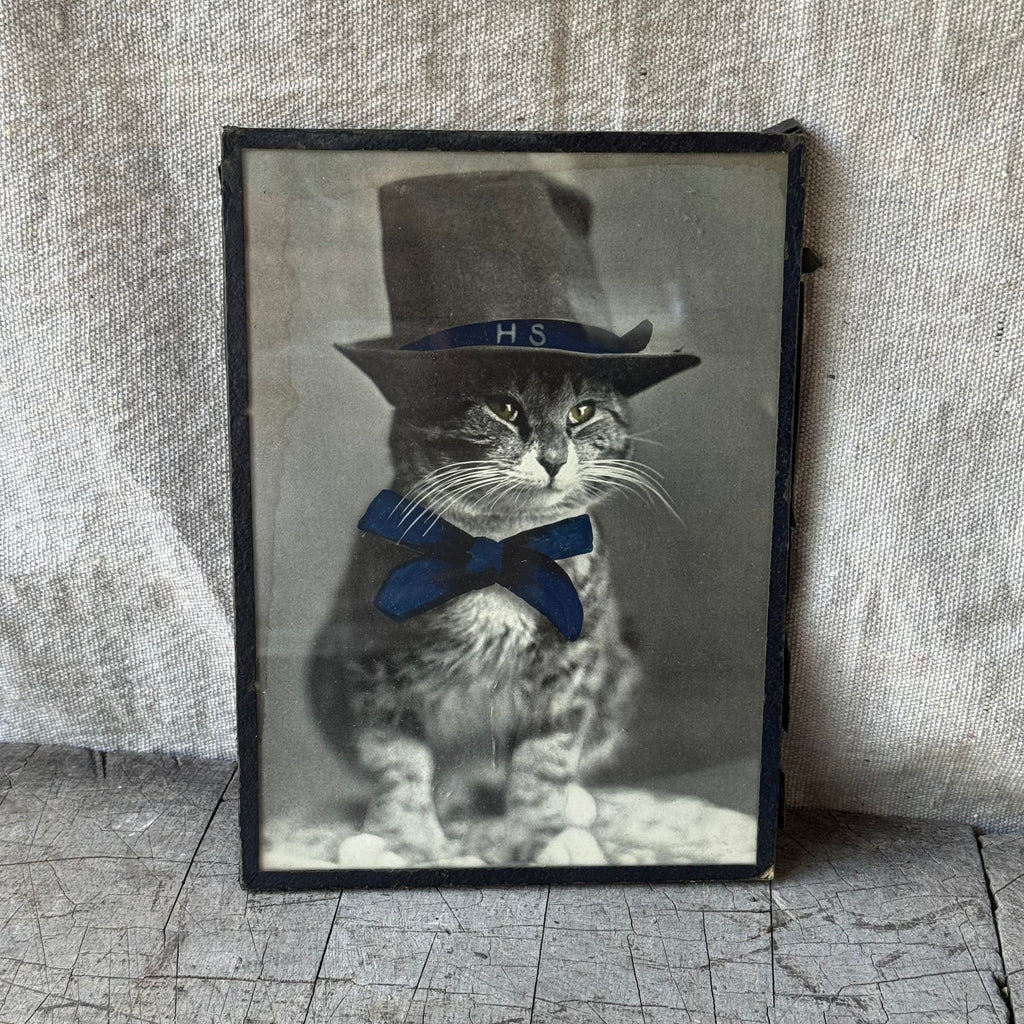 The Hill School Mascot Cat Hand-Colored Photograph