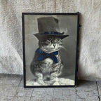The Hill School Mascot Cat Hand-Colored Photograph