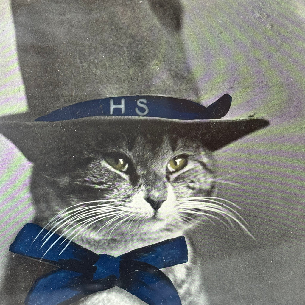 The Hill School Mascot Cat Hand-Colored Photograph