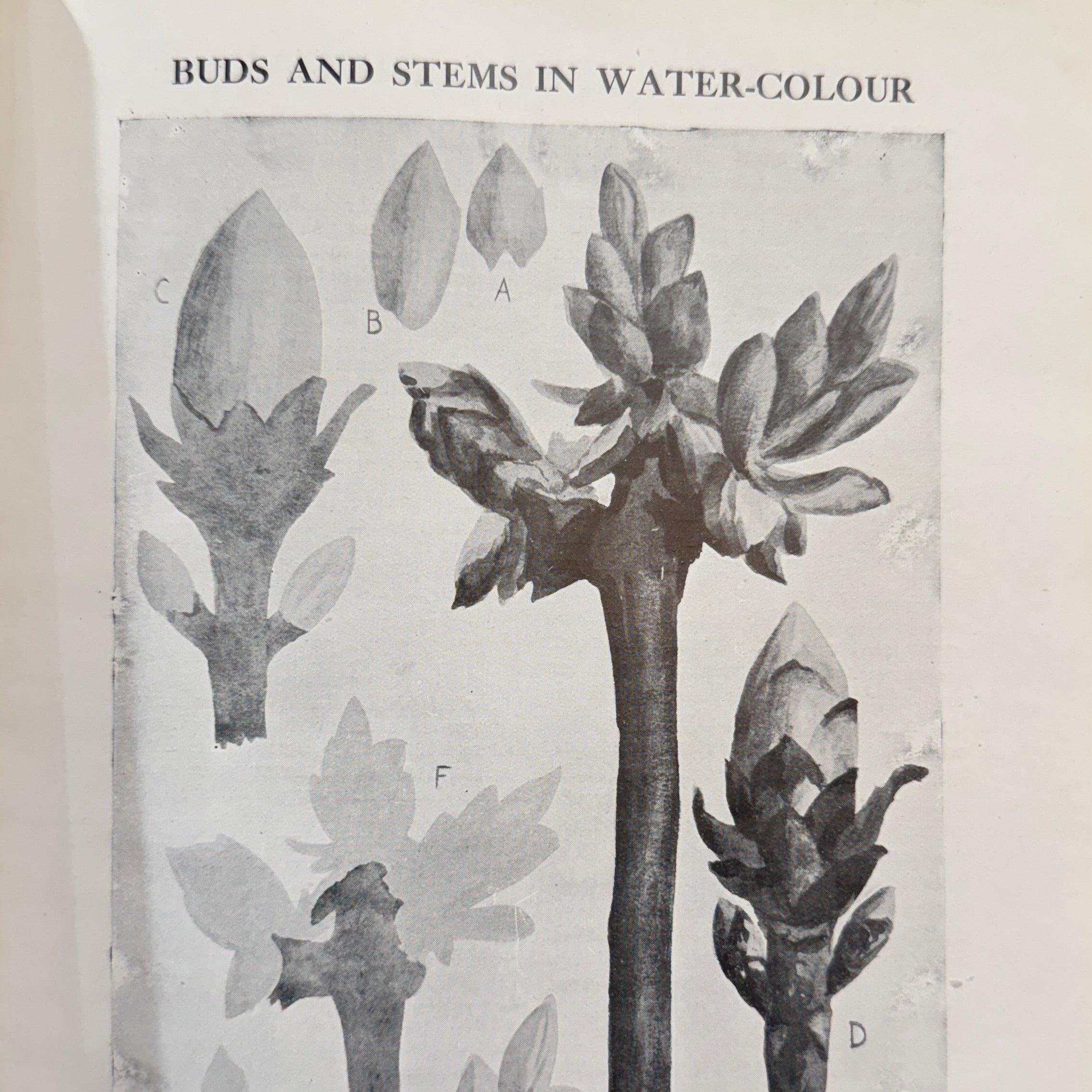 The Book Of School Colour Work, Vol. Two