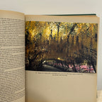 The English Garden Book