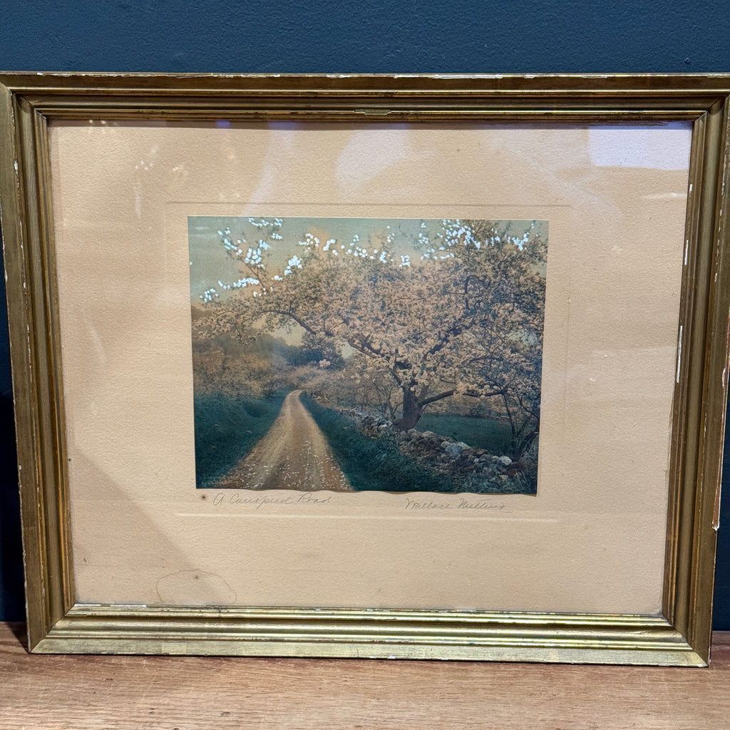 Wallace Nutting Hand-Colored Photograph " A Canopied Road" Framed