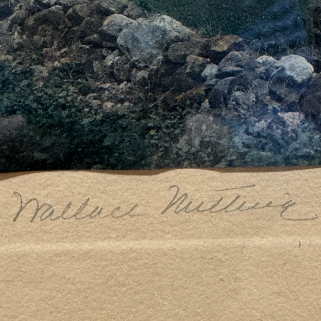 Wallace Nutting Hand-Colored Photograph " A Canopied Road" Framed