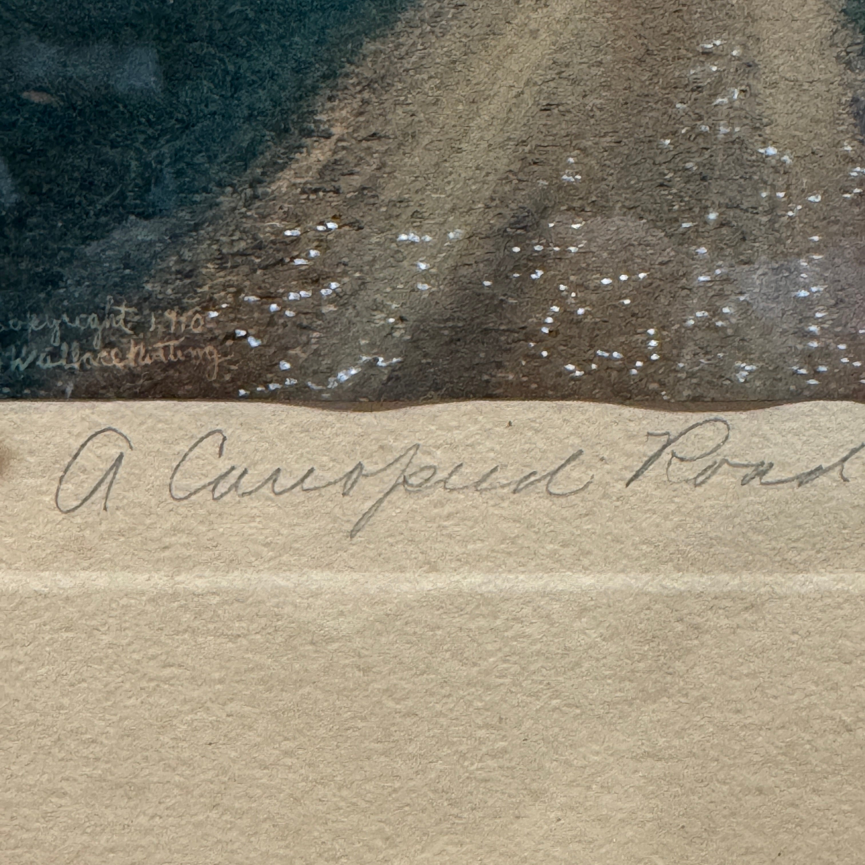 Wallace Nutting Hand-Colored Photograph " A Canopied Road" Framed