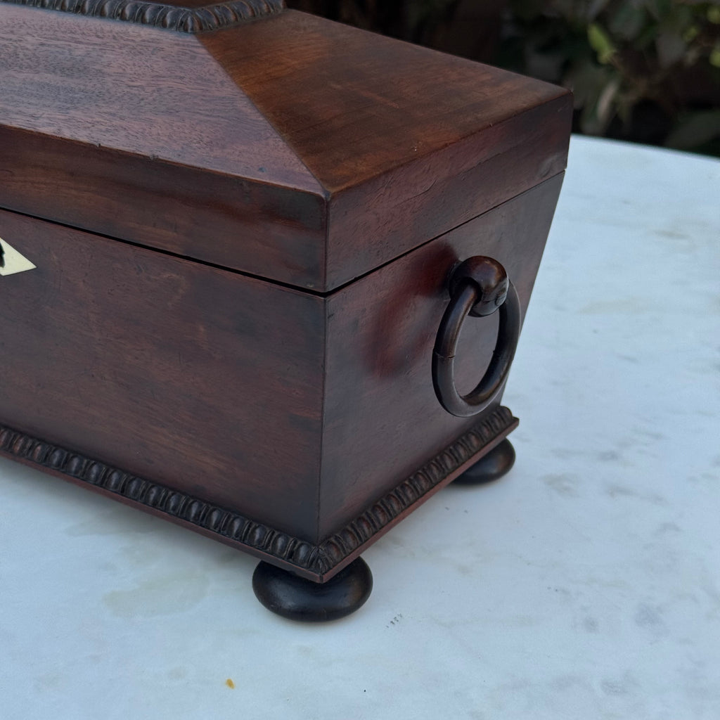 Antique Regency Sarcophagus Tea Caddy