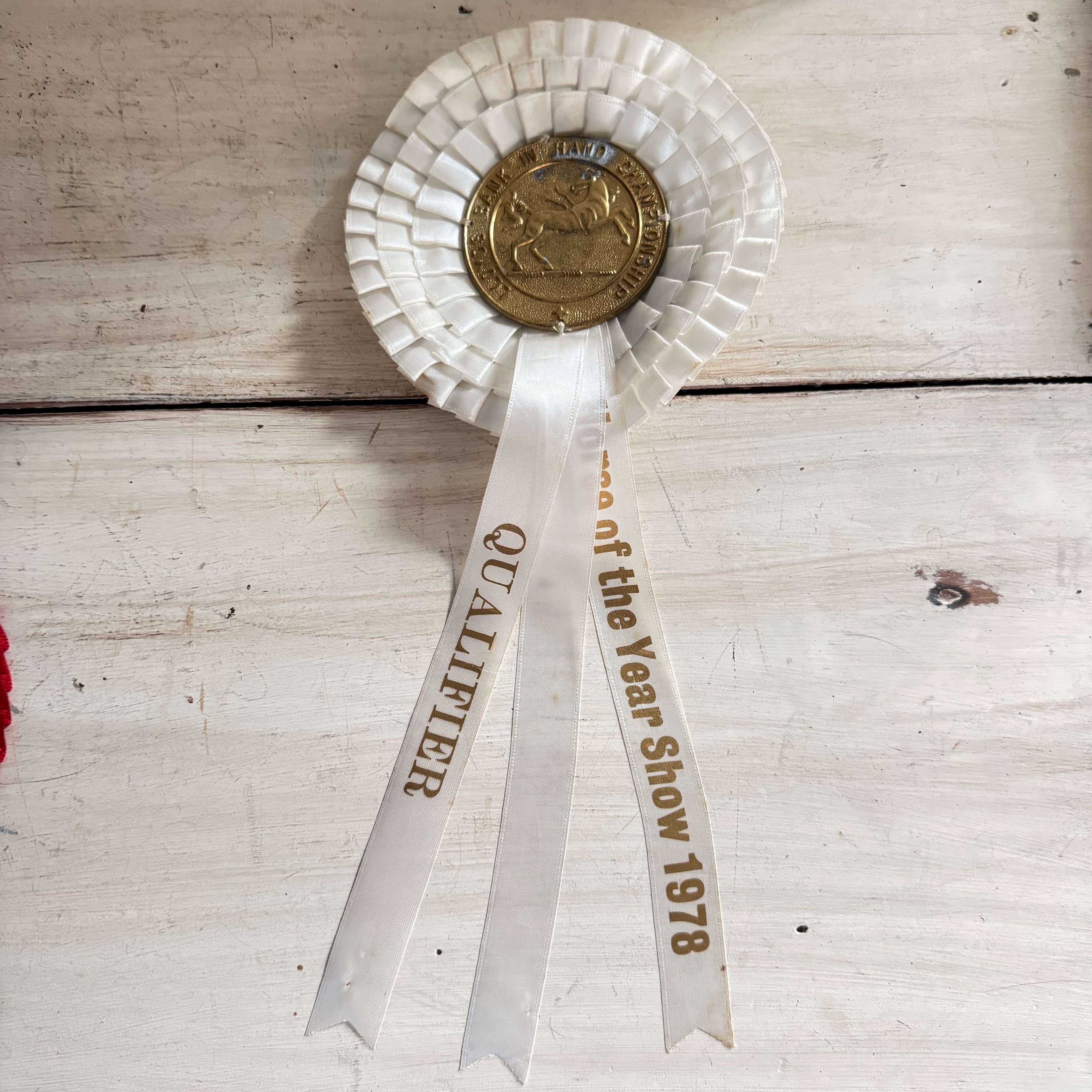 Vintage 1978 Horse of the Year Show Qualifier Rosette