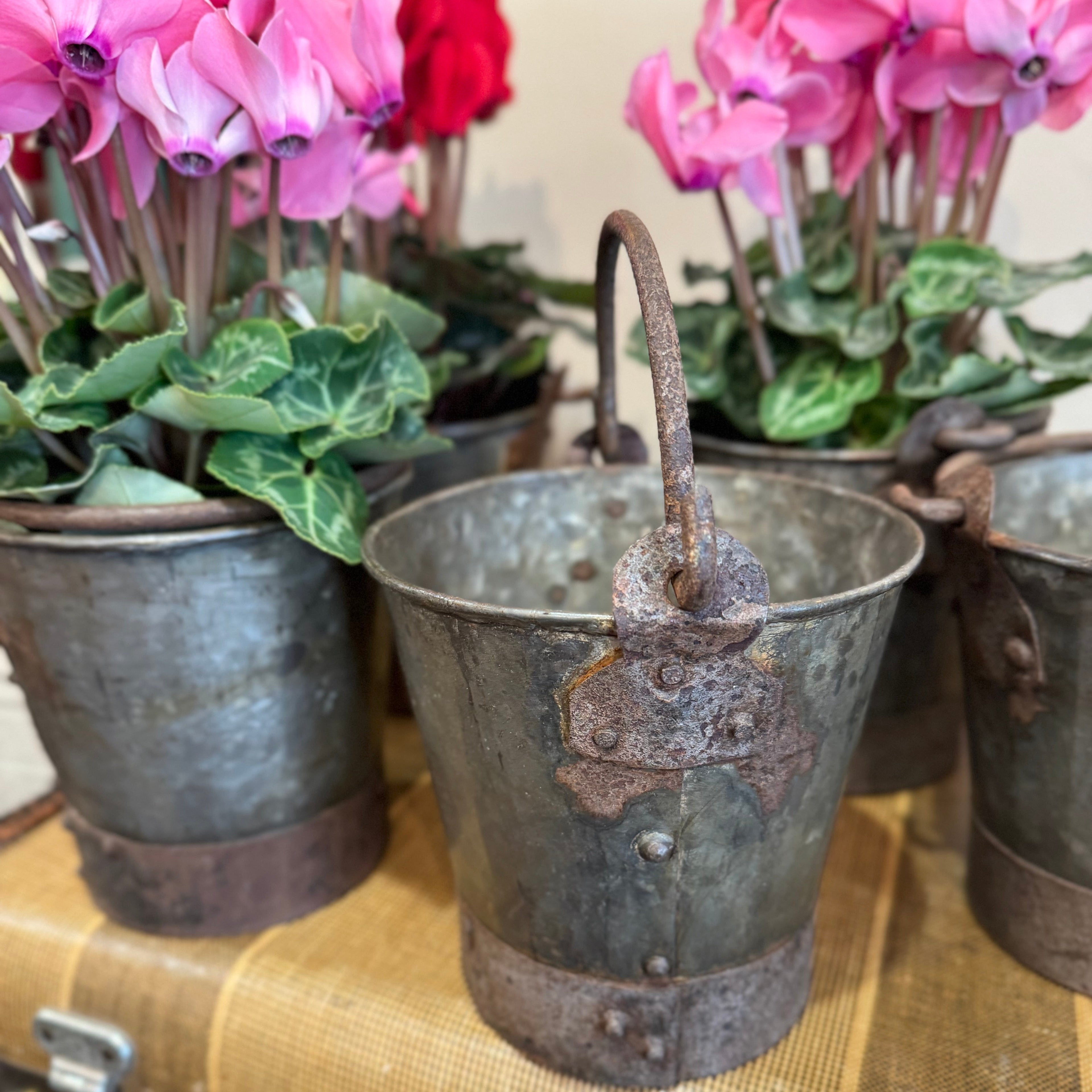 Antique English Galvanized Iron Bucket