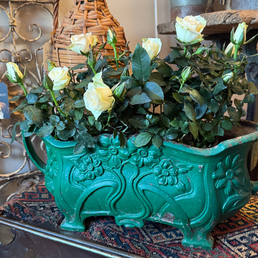French Cast Iron Jardinière