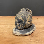 Vintage English Cast Stone Black Bunny