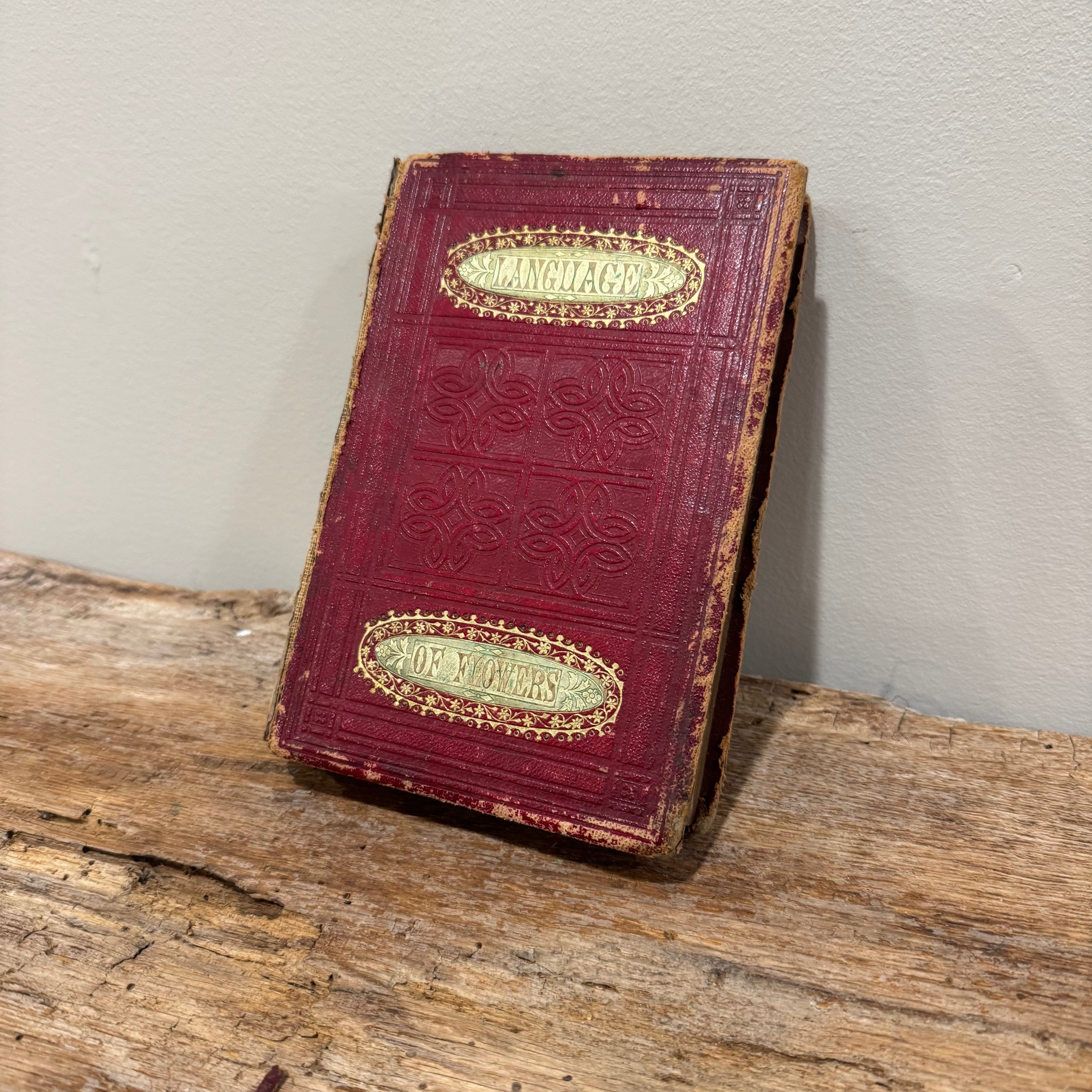 Language and Poetry of Flowers 1860