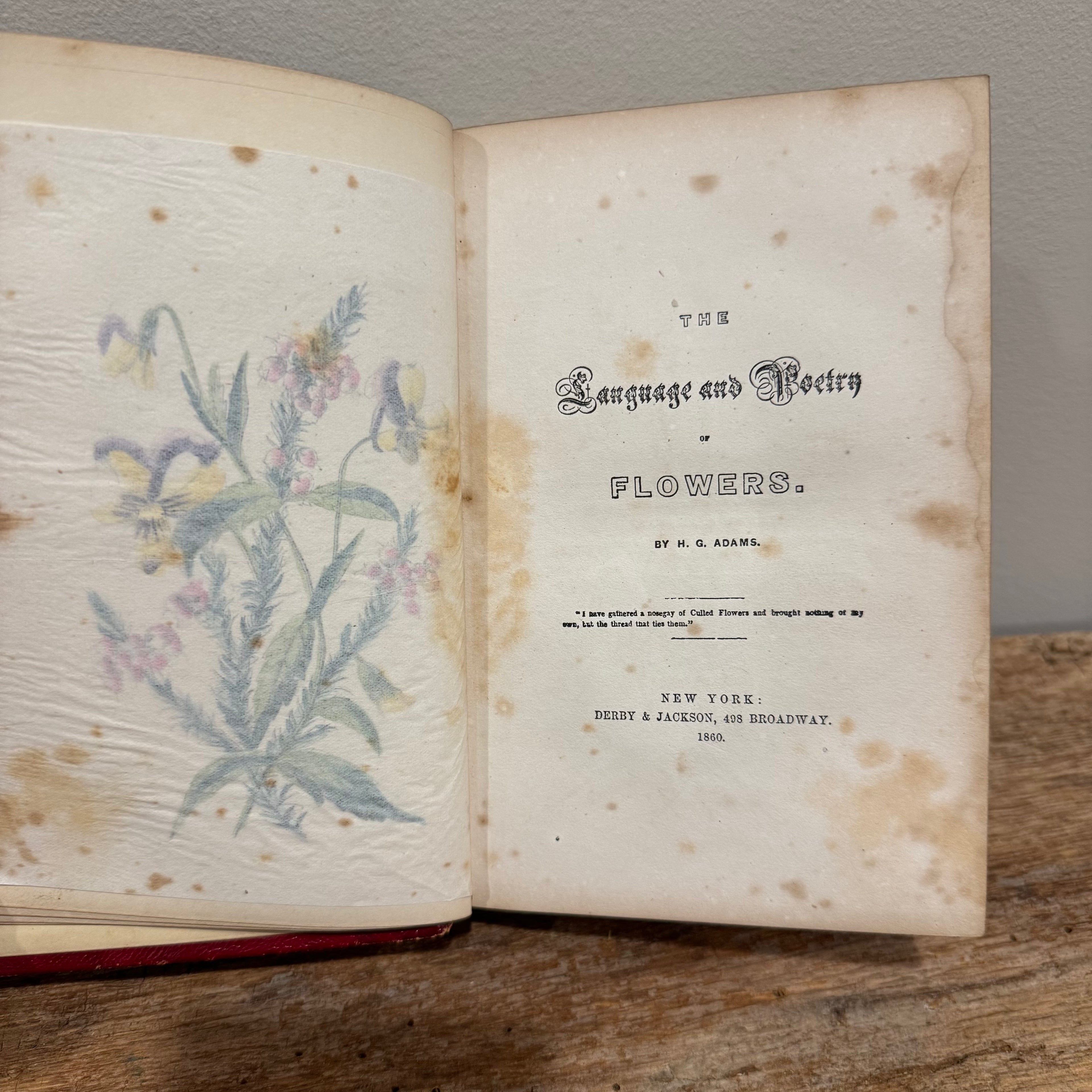 Language and Poetry of Flowers 1860