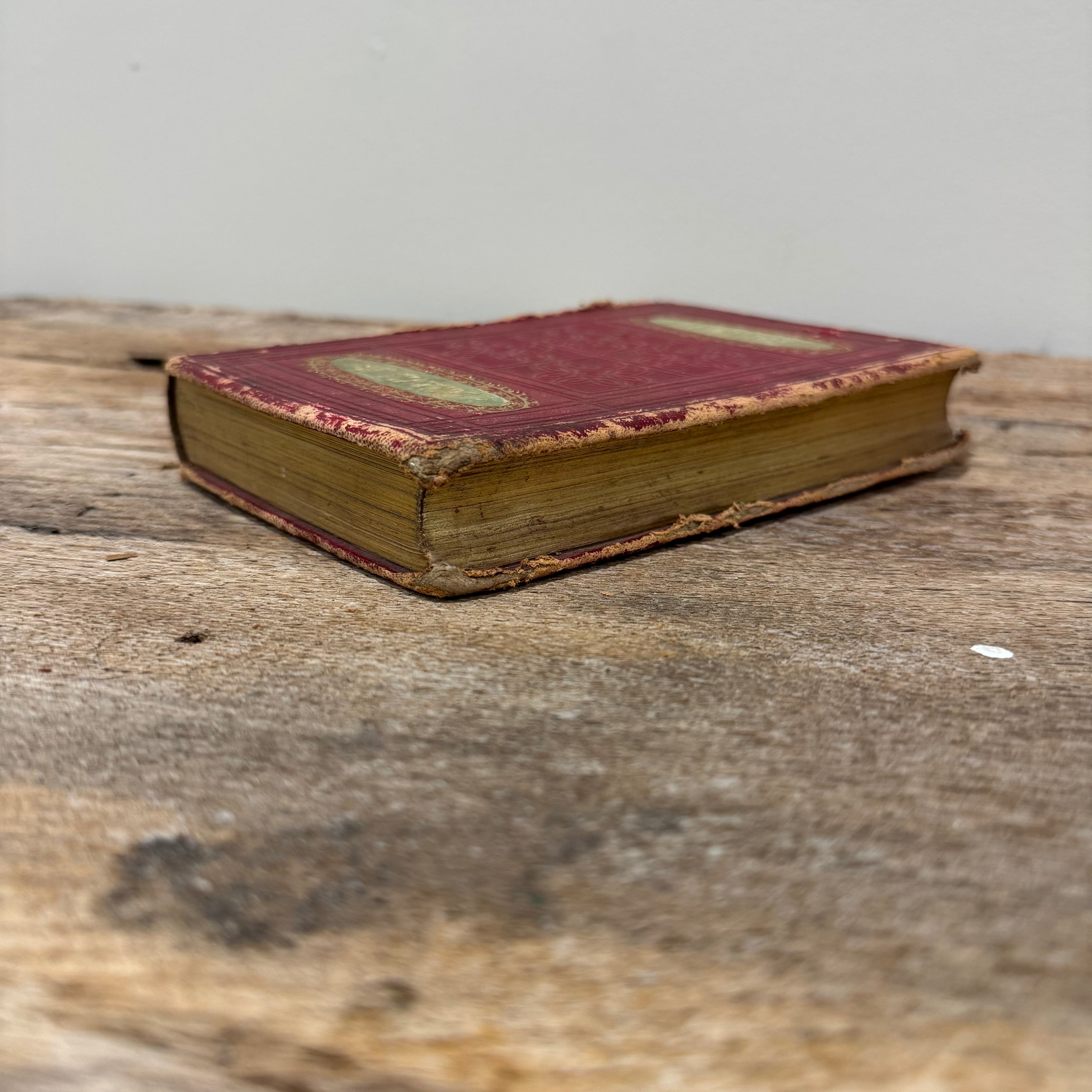 Language and Poetry of Flowers 1860