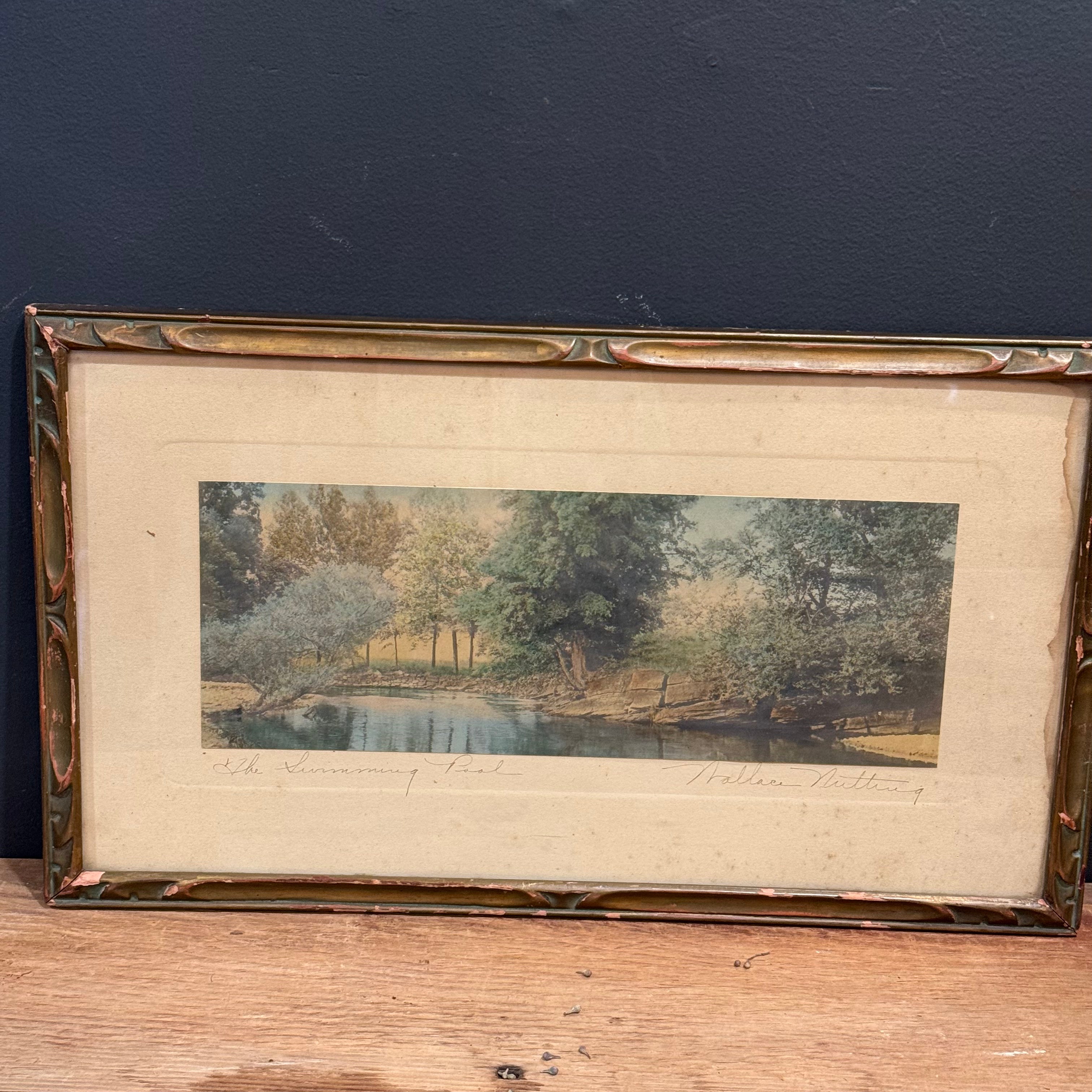 The Swimming Pool By Wallace Nutting (Panoramic Format)