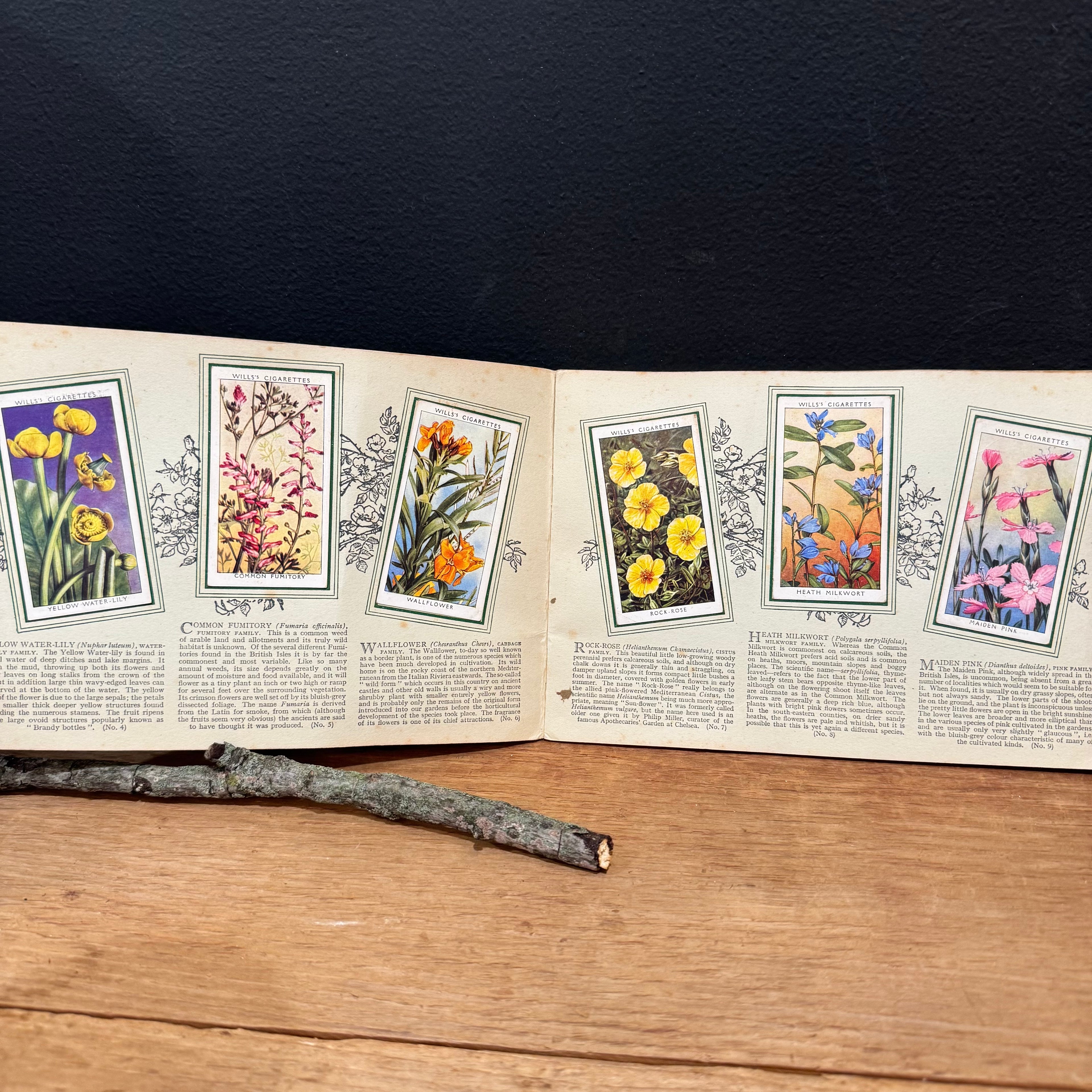 Wills “Wild Flowers” Cigarette Card Album, Second Series