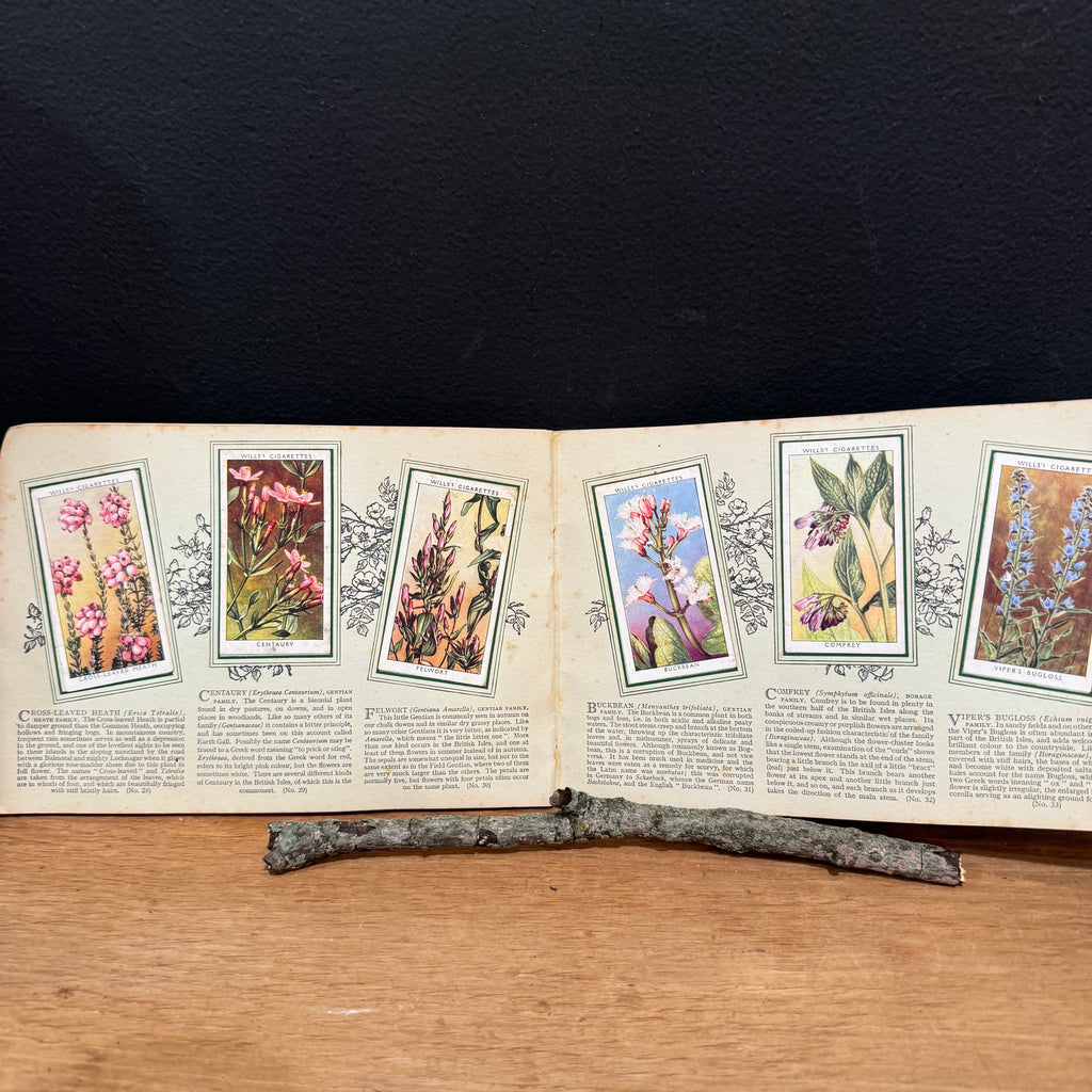 Wills “Wild Flowers” Cigarette Card Album, Second Series