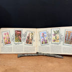 Wills “Wild Flowers” Cigarette Card Album, Second Series