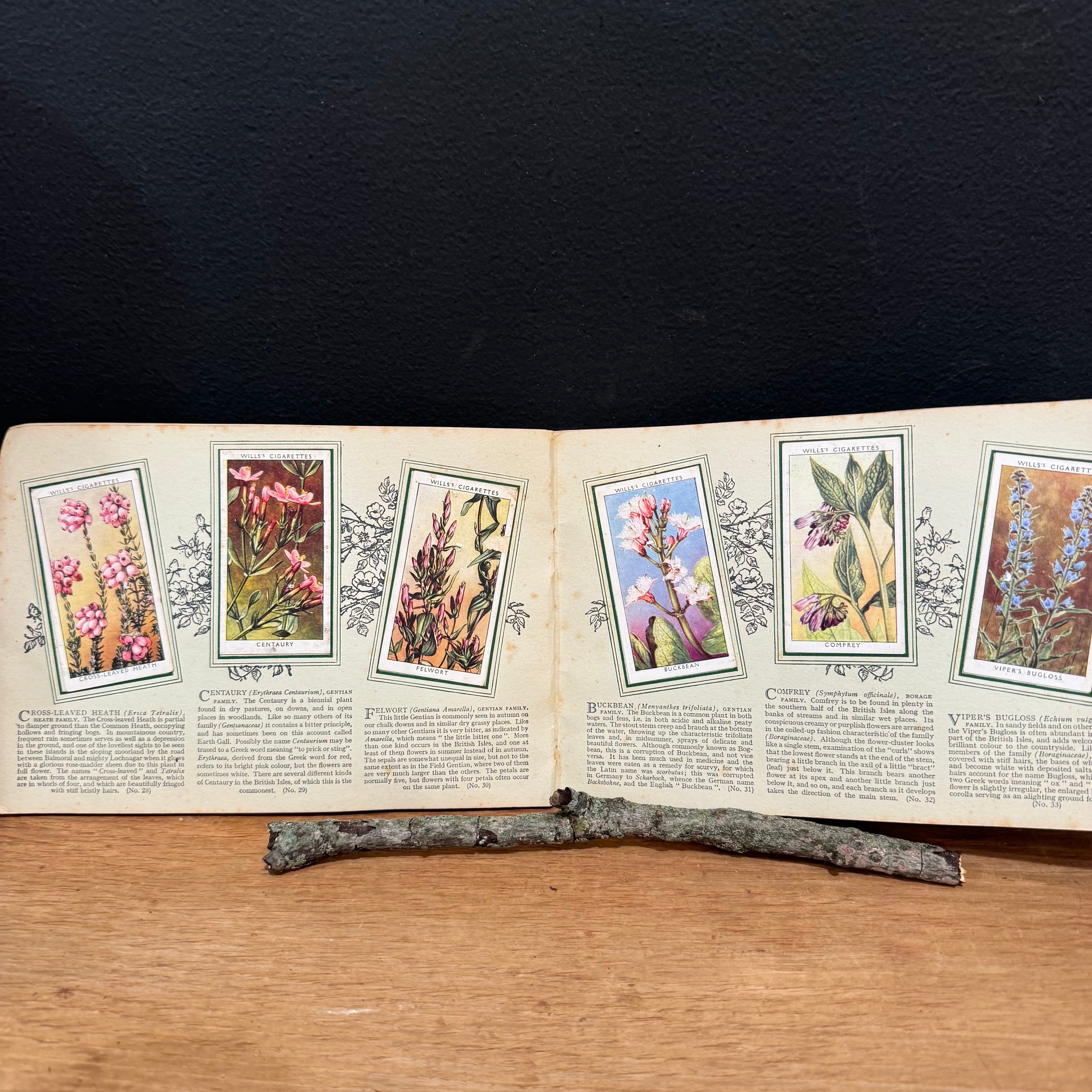 Wills “Wild Flowers” Cigarette Card Album, Second Series