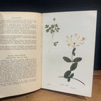 Flowers of the Field