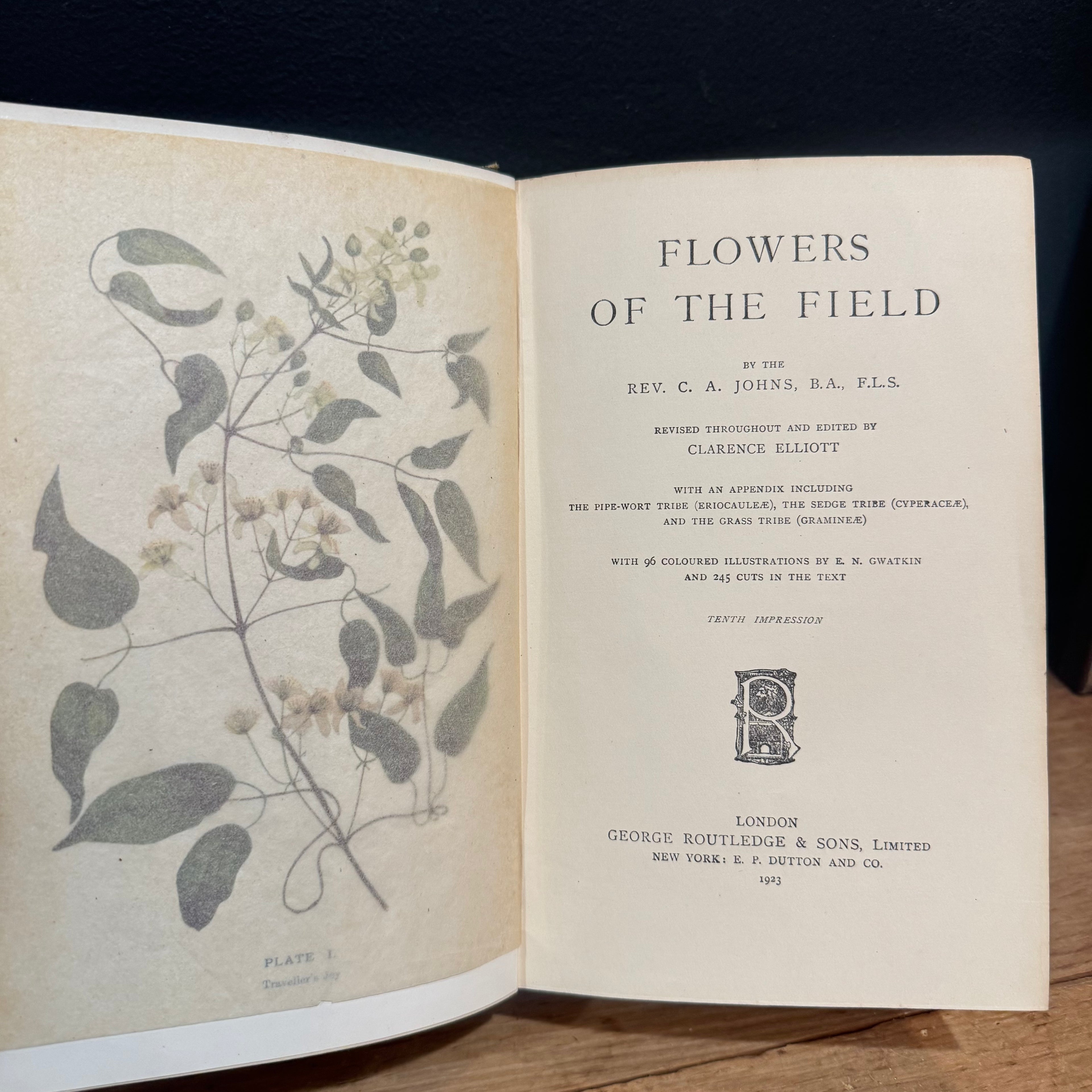 Flowers of the Field