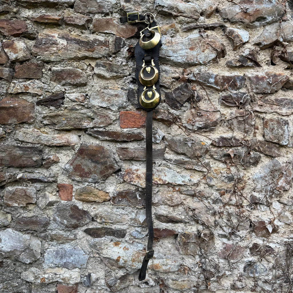 Long Horse Brass *as found