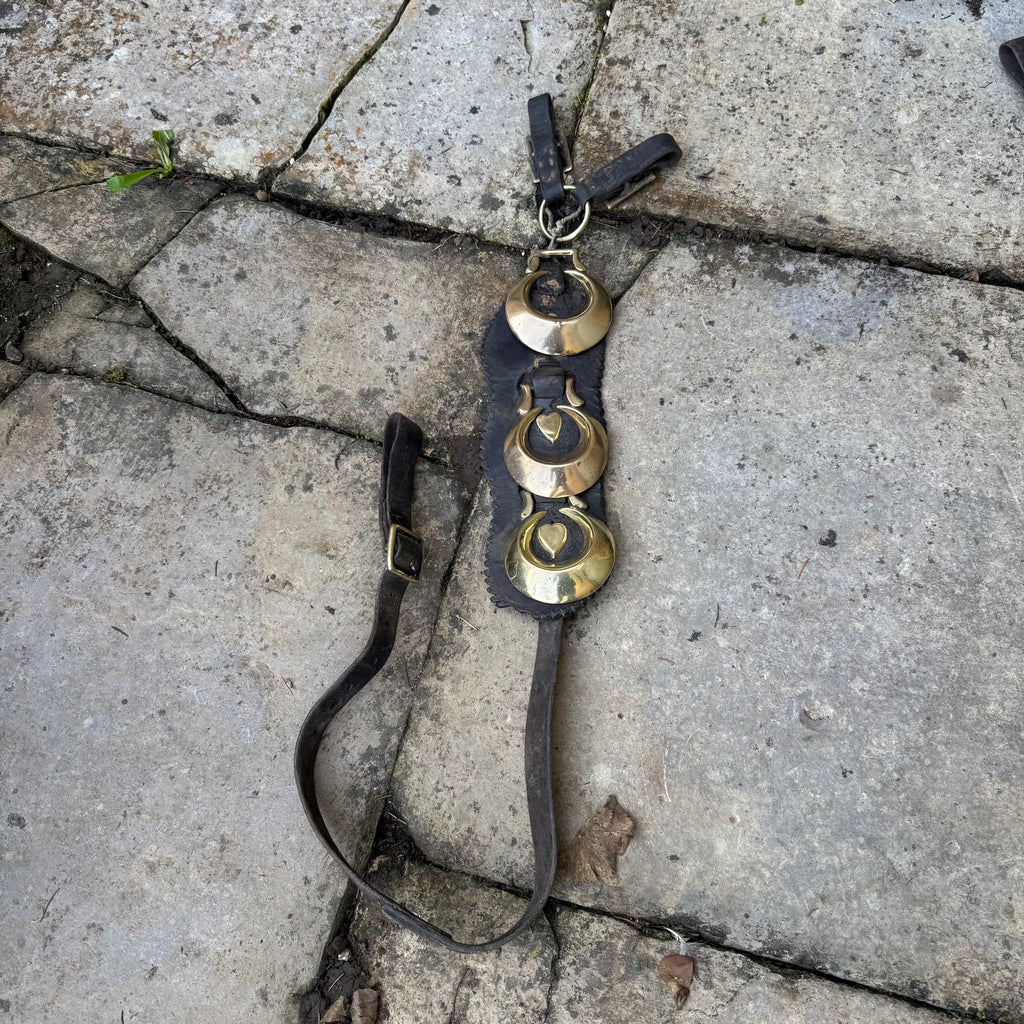 Long Horse Brass *as found